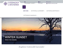 Tablet Screenshot of cotswoldlavender.co.uk